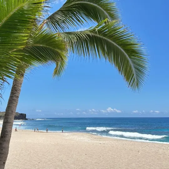 Plage de Boucan Canot